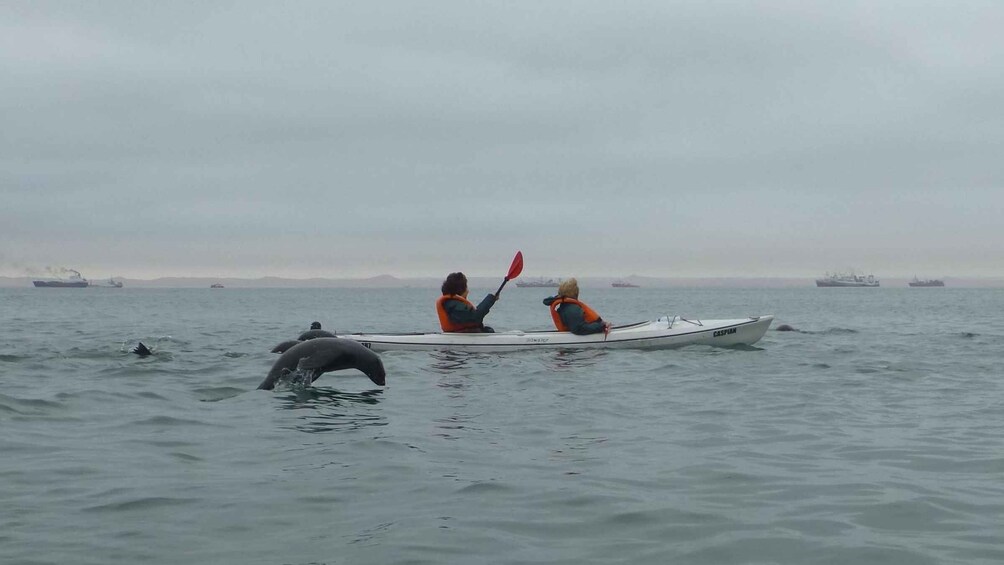 Two people kayaking on a calm sea with distant ships and a clear sky. 5