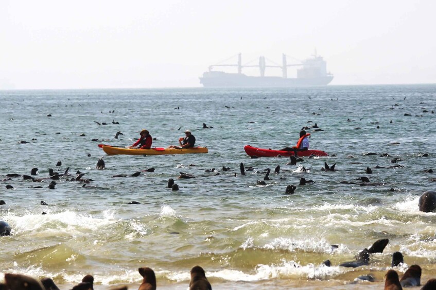 Kayakers on the water with a large ship in the background. 3