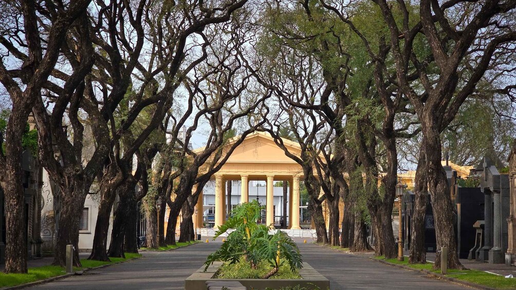 A tree-lined avenue leading to a classical building with columns. 5