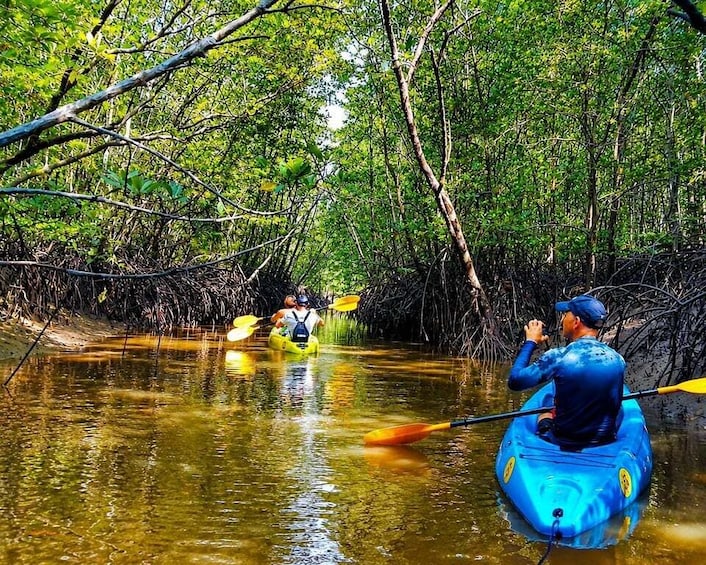 Ko Lanta: Mangrove Kayaking+Old town 1