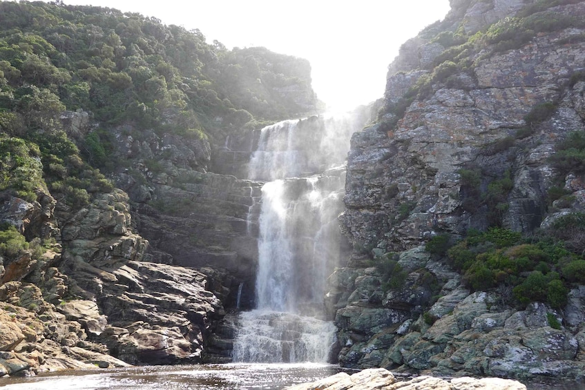A waterfall cascading down a rocky cliff surrounded by lush greenery. 1