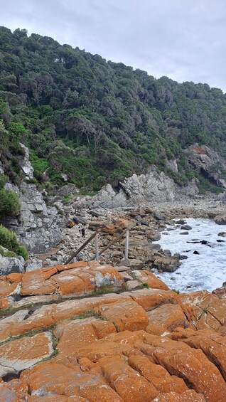 A rocky shoreline with orange lichen-covered rocks, a forested hillside, and a coastal stream. 3