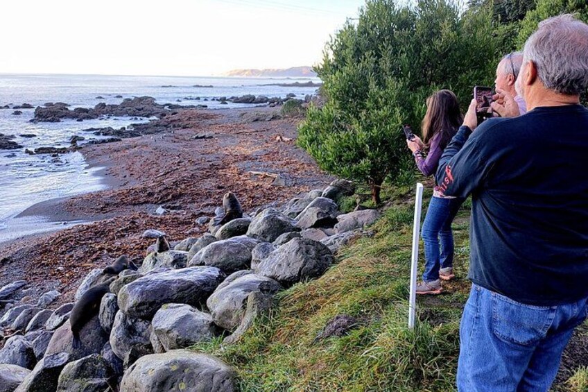 A rocky shoreline with people taking photos. 1