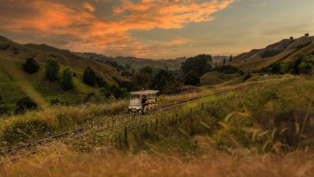 Picture 1 for Activity Taumarunui: Forgotten World Rail Cart Tour with Lunch 5