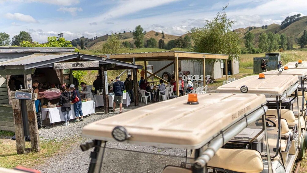 Picture 3 for Activity Taumarunui: Forgotten World Rail Cart Tour with Lunch 2