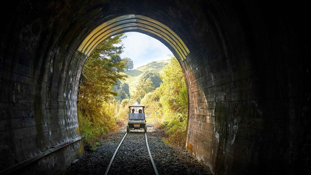 Taumarunui: Forgotten World Rail Cart Tour with Lunch 1