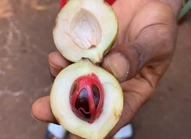 Una mano sosteniendo fruta cortada por la mitad, con interior rojo. 3