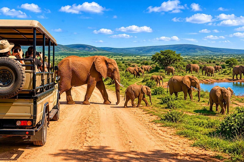A safari vehicle on a dirt road with elephants and a waterhole in the background. 1