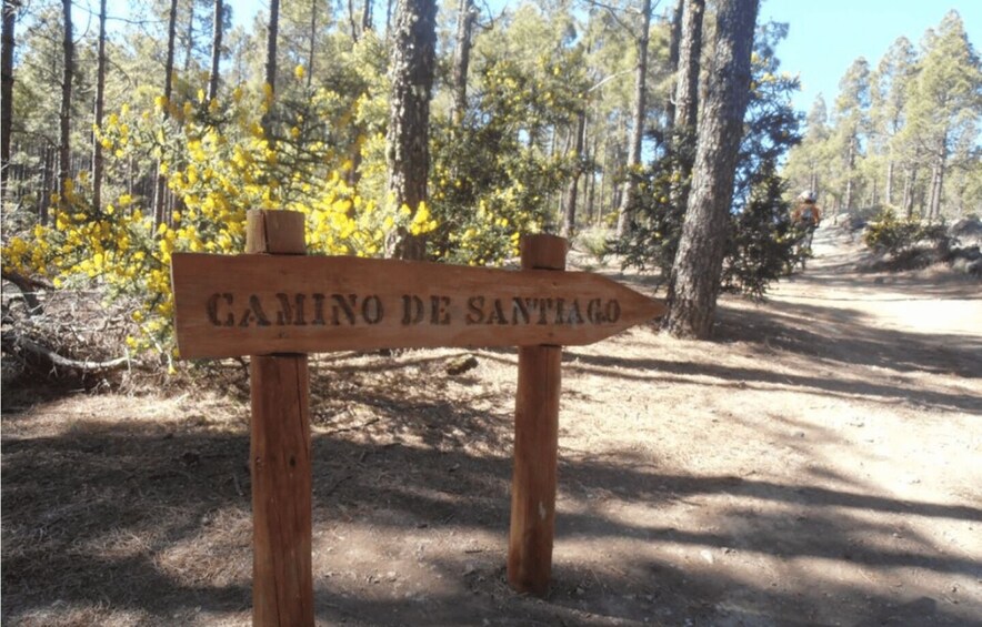 Picture 22 for Activity ⭐ GC TRAVEL GUIDE - All Gran Canaria in just one place ! ⭐ 5