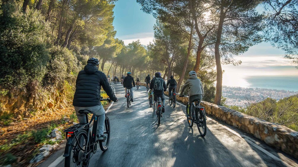Cyclists on a paved road surrounded by trees, with a cityscape in the distance. 1