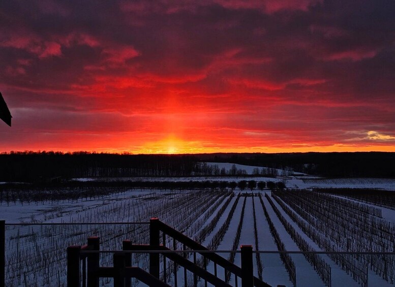 Picture 5 for Activity NON BUS 3 Winery MOVIE STARS Old Mission Sunset Wine Tour 3