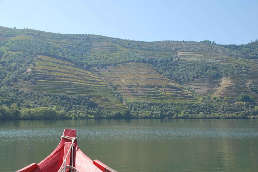 Pinhão: Rabelo Boat 1-Hour Tour 1
