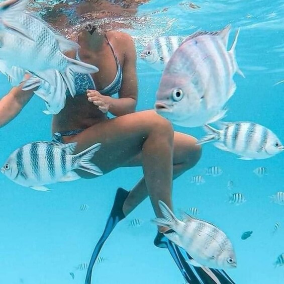 A person underwater surrounded by fish. 3