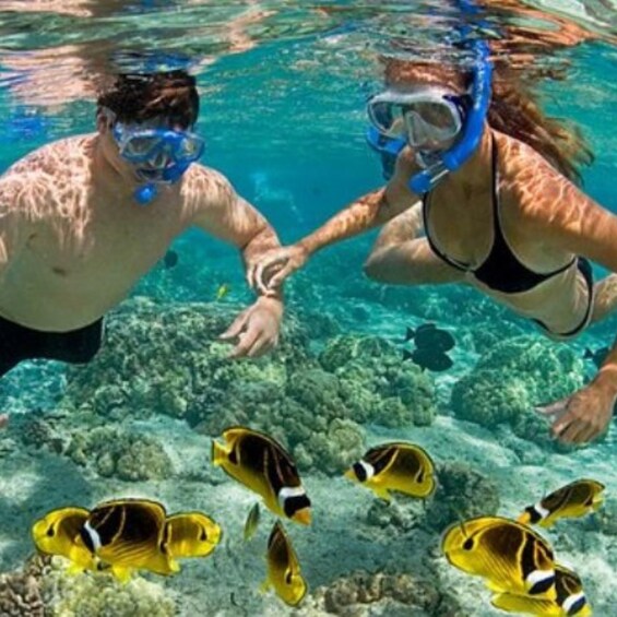 Two people snorkeling underwater with fish. 4