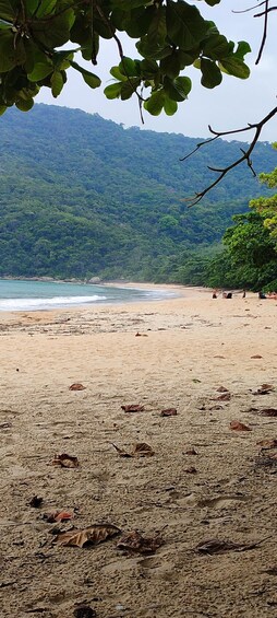 Ilha Grande 360 Tour – Exclusive Private Speedboat Itinerary 2