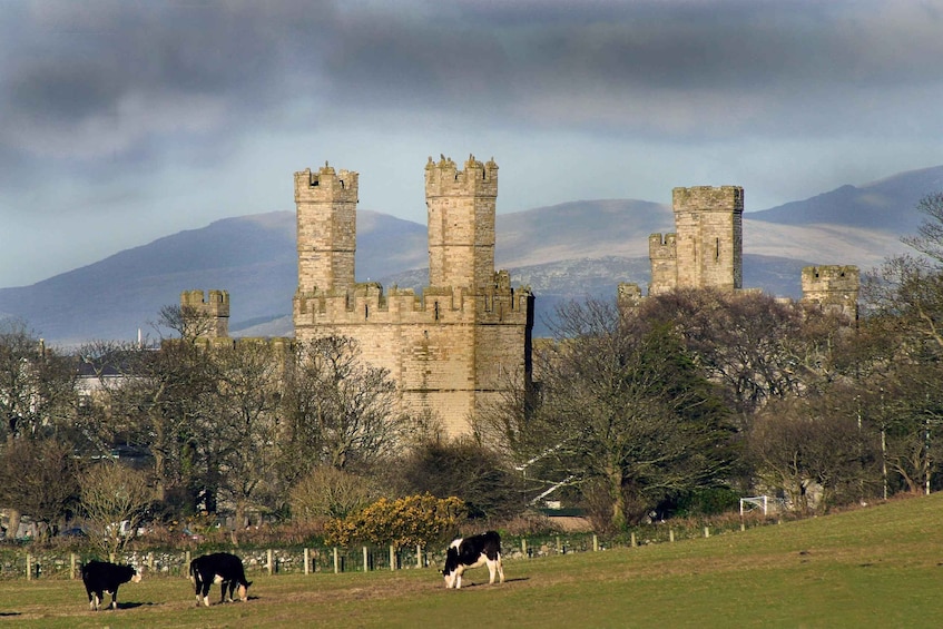 Holyhead: North Wales Explorer Day Tour for Cruisers 1