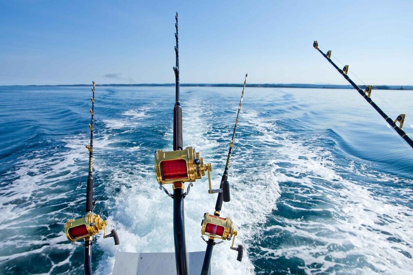 Picture 2 for Activity Side: Open Sea Fishing Trip with Hotel Pickup 5