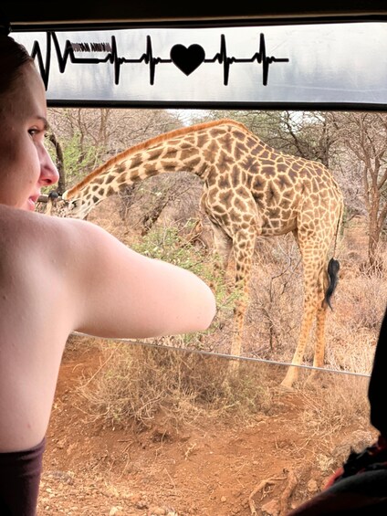 A giraffe bending down near a fence with a heart and heartbeat line symbol above it. 2