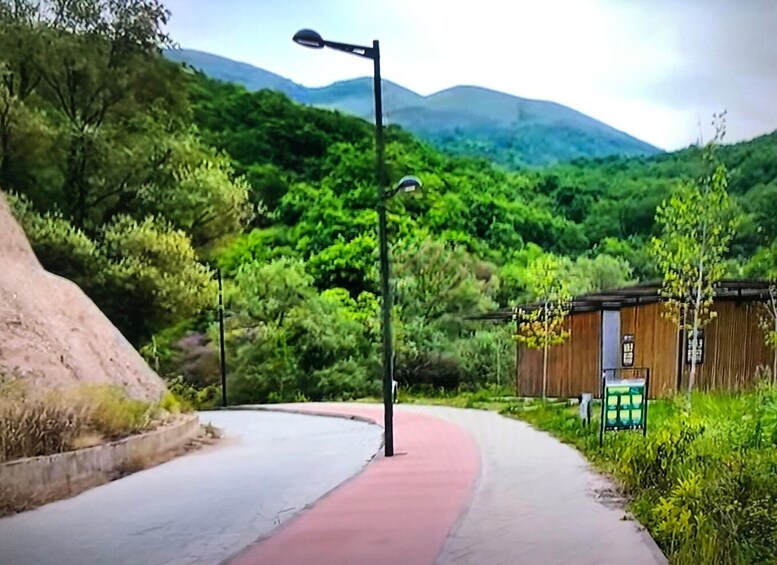 A paved path with a red edge, surrounded by lush greenery and a wooden structure. 5
