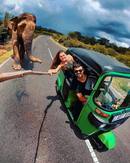 A green auto-rickshaw on a road with a large elephant beside it. 1