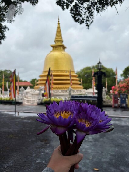 A hand holding purple flowers in front of a golden pagoda with flags. 3
