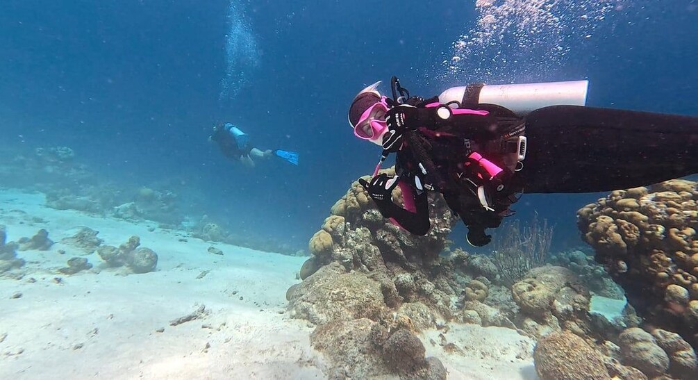 Two scuba divers exploring a coral reef with visible marine life and underwater formations. 3