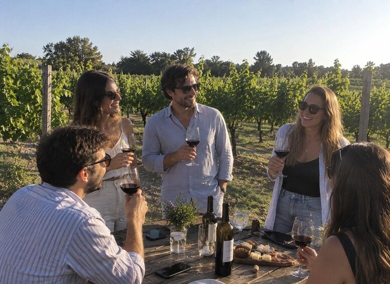 From Colonia: Group sightseeing tour of Bodegas de Carmelo with food tastings 1