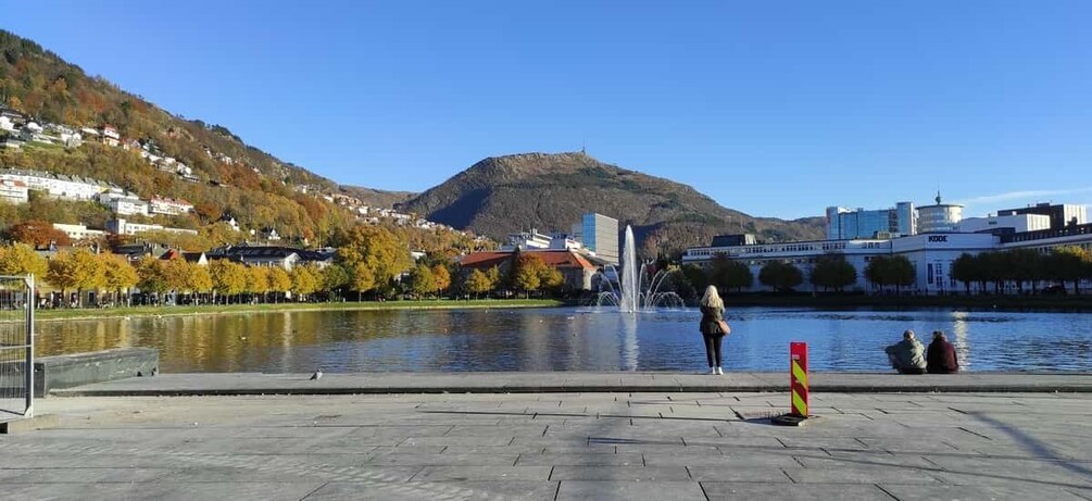 Picture 3 for Activity Bergen: Private tour in your own language 5
