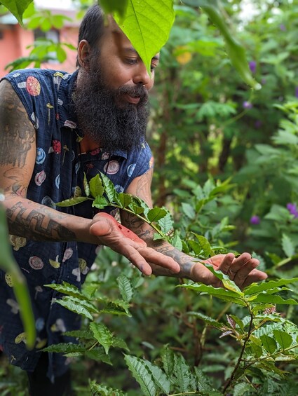 A person with tattoos holding green leaves. 1