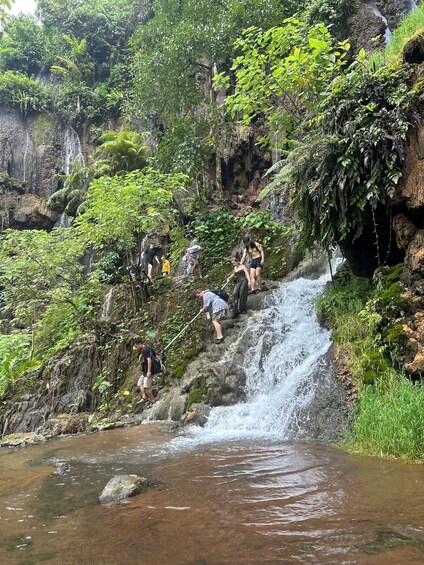 Picture 15 for Activity From Malang: Tumpak Sewu Waterfall Day Trip (Sharing) 5