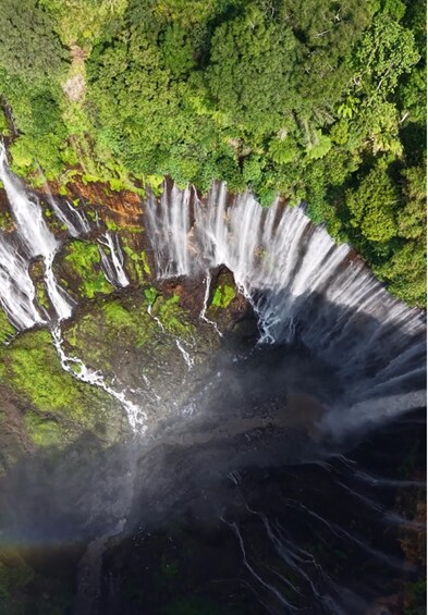 A waterfall cascading over moss-covered rocks surrounded by dense green forest. 3
