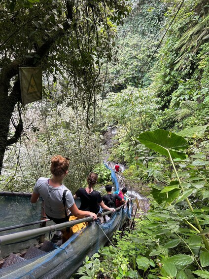 A group of people on a narrow waterway surrounded by dense foliage. 5