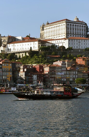 Picture 2 for Activity Vila Nova de Gaia: Bridges Cruise 2