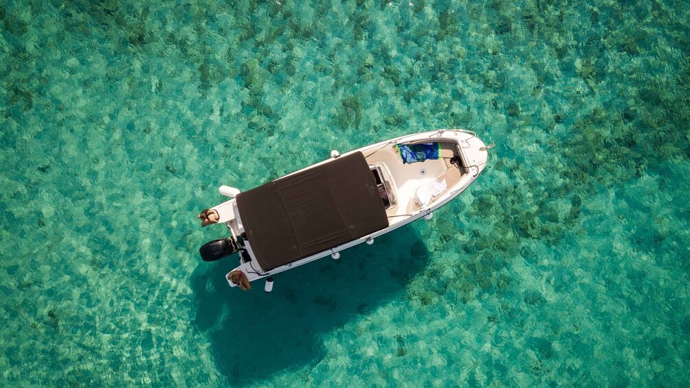 Picture 2 for Activity Split: Private Full Day Boat Trip to Blue Lagoon and Trogir 2
