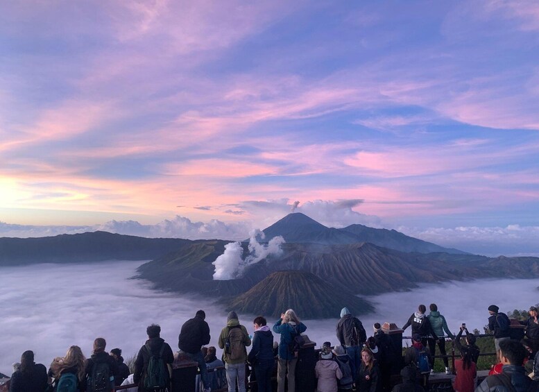 Picture 8 for Activity Bromo Hiker’s Transfer: Malang to Cemorolawang 5
