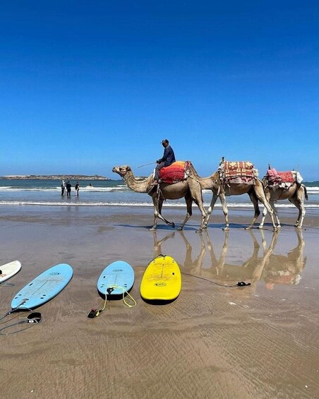 Three camels with riders on a beach, and three surfboards lying on the sand. 1