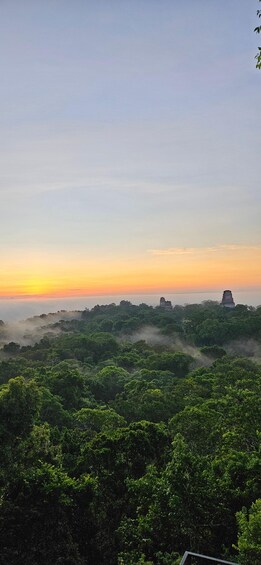 A landscape with dense green foliage and a clear sky at sunset. 3