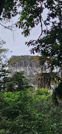 A lush green landscape with dense foliage and a rocky hill in the background. 2