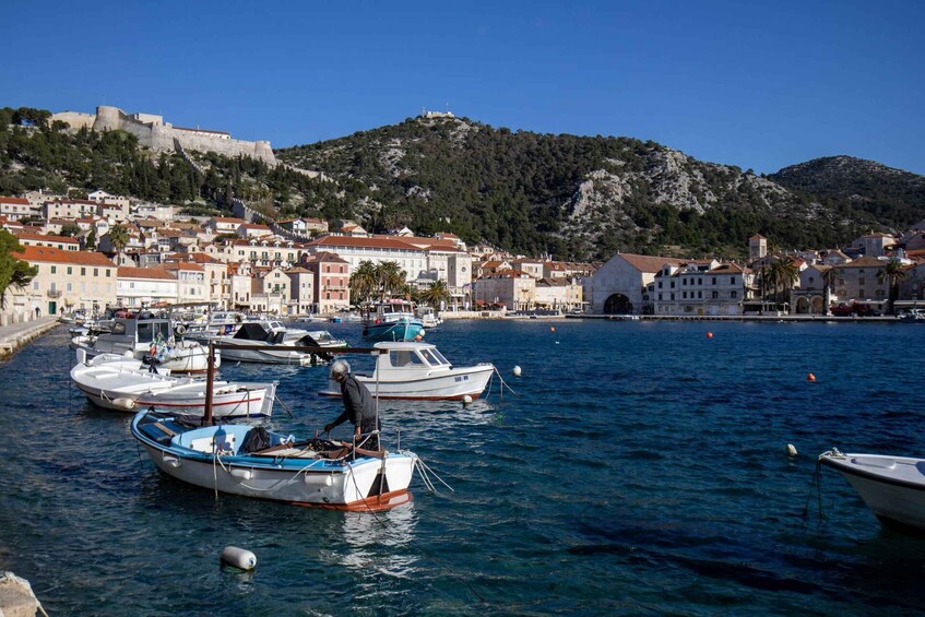 Picture 1 for Activity Hvar Walking Tour: History, Hidden Streets & Local Guide 4