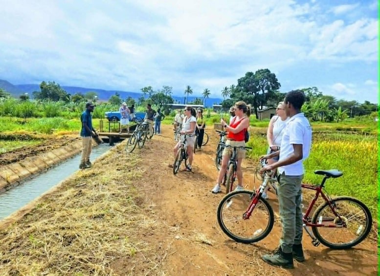 Picture 11 for Activity #1 From Arusha: Pick a Day Trip, Safari, Hiking &Excursions! 3
