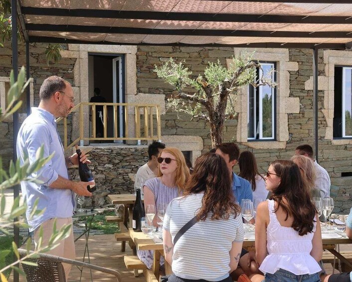 Picture 2 for Activity Douro Valley: visit 1 or 2 Wineries w/ winery Lunch & Cruise 4