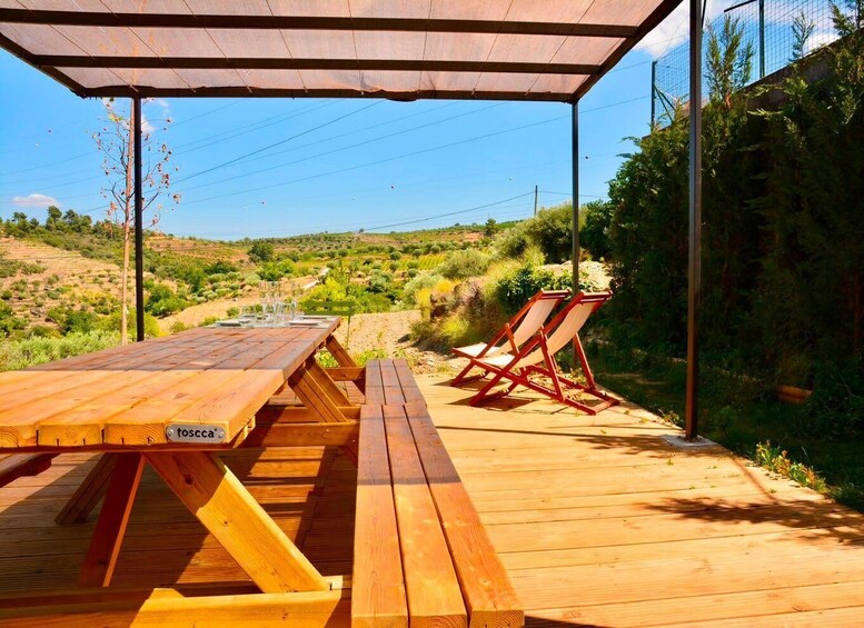 Picture 74 for Activity Douro Valley: visit 1 or 2 Wineries w/ winery Lunch & Cruise 3