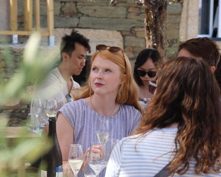 Picture 1 for Activity Douro Valley: visit 1 or 2 Wineries w/ winery Lunch & Cruise 5
