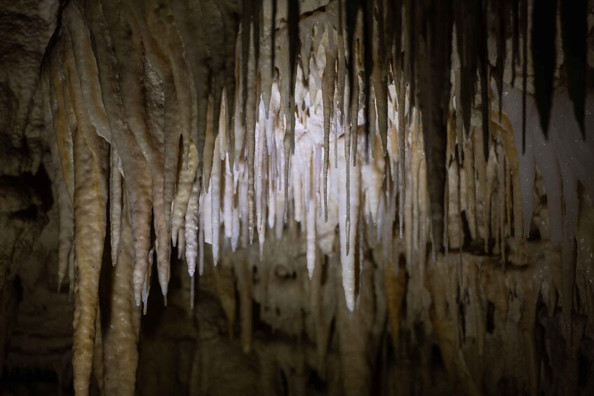 A cave with stalactites hanging from the ceiling. 5