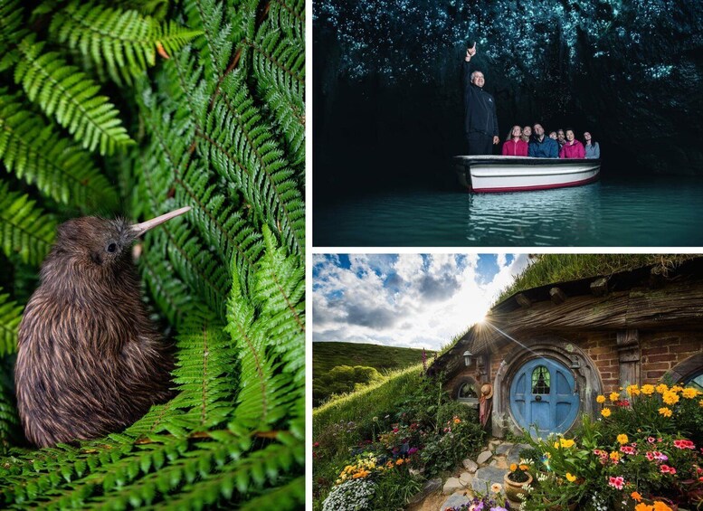 A bird among ferns, a boat tour at night, and a Hobbit-style house with colorful flowers. 1