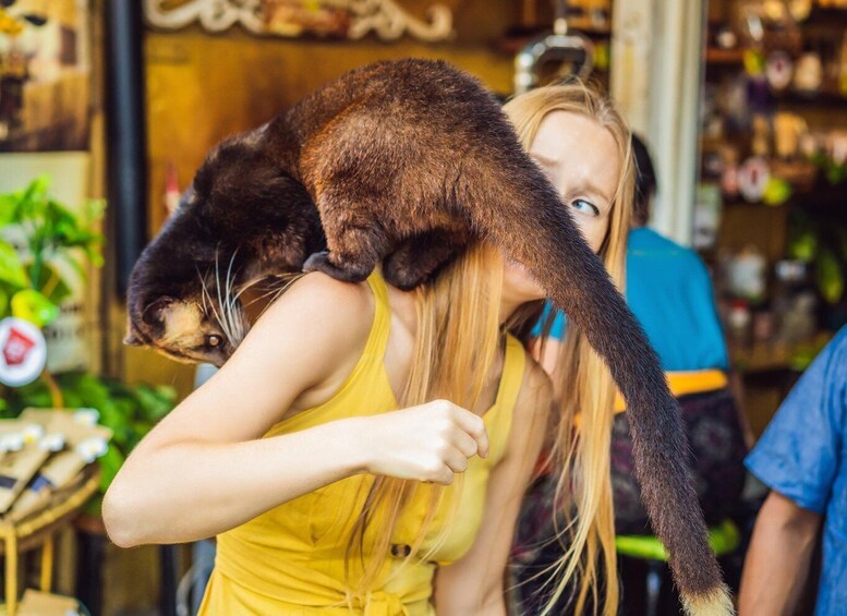 A person carrying a cat on their shoulder. 2