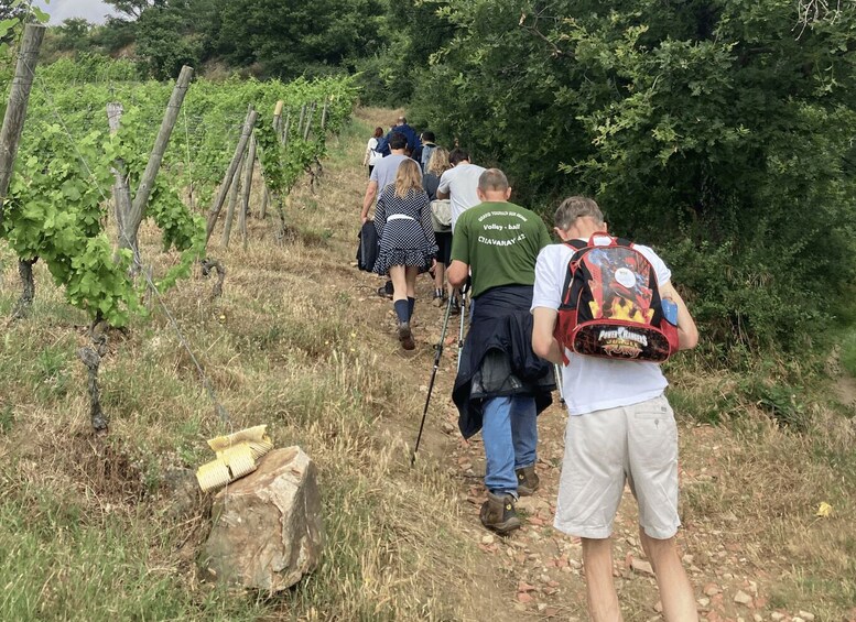 Picture 6 for Activity Coteau St Joseph Hiking Tour 2