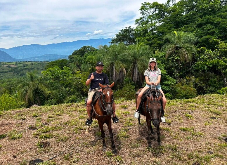 Two people riding horses on a grassy hill with a forest and mountains in the background. 4
