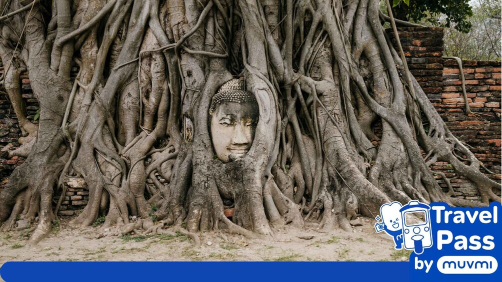 A Buddha statue partially obscured by intertwining tree roots. 4