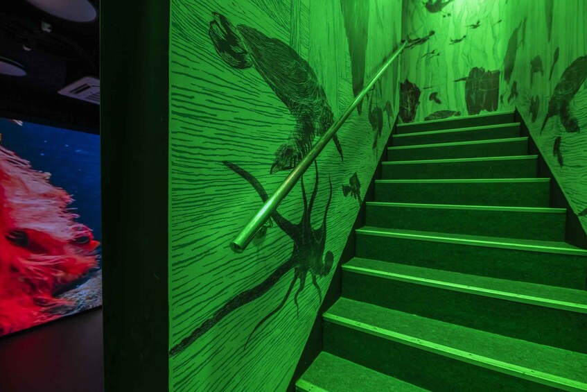 A staircase with green lighting and a handrail. 5